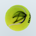 Novak Djokovic - Pelota Autografiada